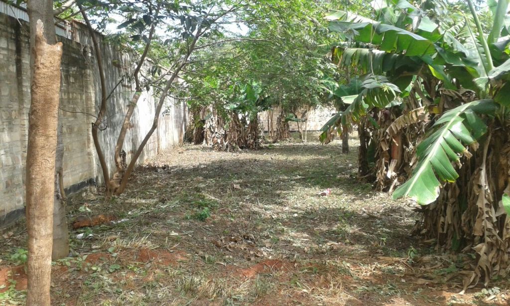 TERRENO EN SAN LORENZO ZONA AVELINO MARTINEZ — foto 2
