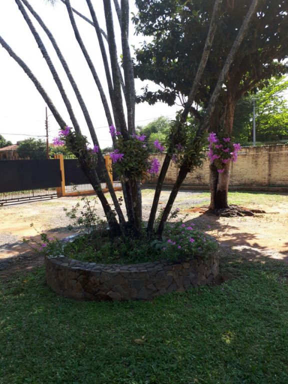 DOS TERRENOS EN ESQUINA - EXCELENTE UBICACIÓN — foto 2