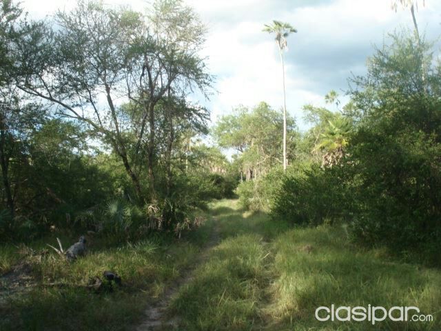 VENDO CAMPO EN BAHIA NEGRA - CHACO PARAGUAYO OFERTA!!! — foto 2