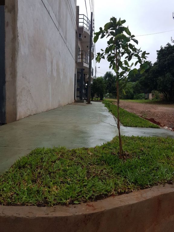 VENDO, FINANCIO O PERMUTO POR DESMAMANTES Y PAGO DIFERENCIA TRIPLEX EN SAN LORENZO — foto 3