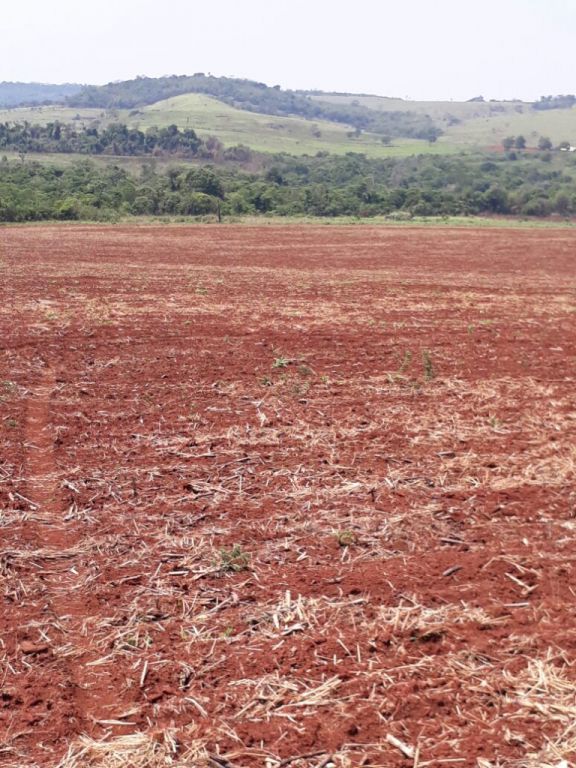 TERRENO SUPERFICIE 40HA — foto 2