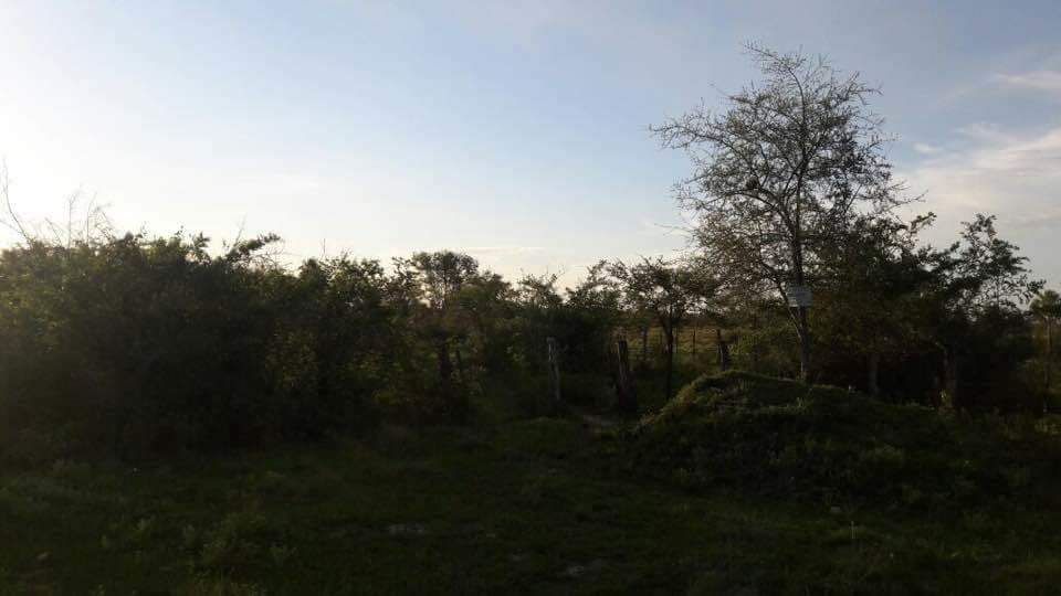 Vende terreno en Benjamín aceval — foto 3