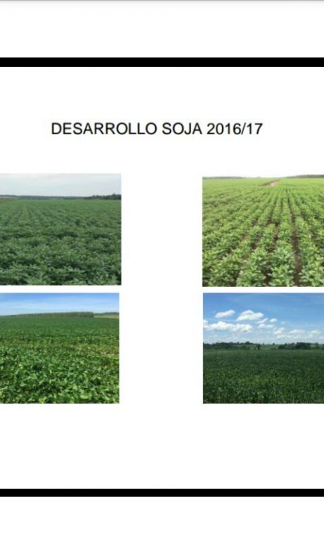 VENTA DE PROPIEDAD AGRÍCOLA EN FRAM - ITAPÚA — foto 2