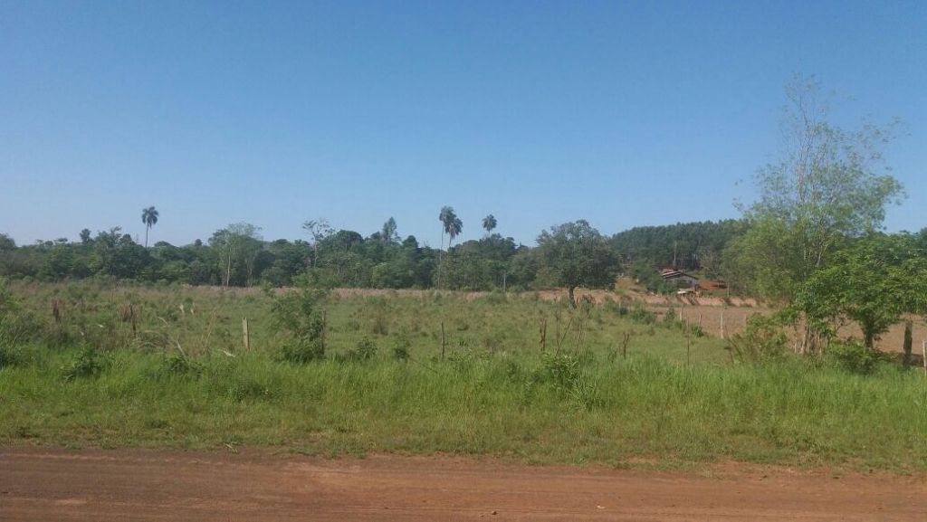 Vendo Terreno Colonia Yguazu — foto 2