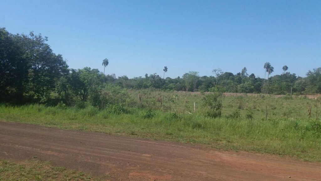 Vendo Terreno Colonia Yguazu — foto 3