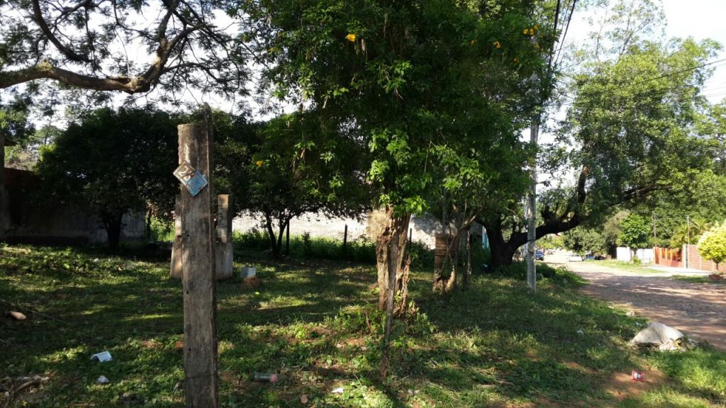 Terreno en Lambare — foto 2