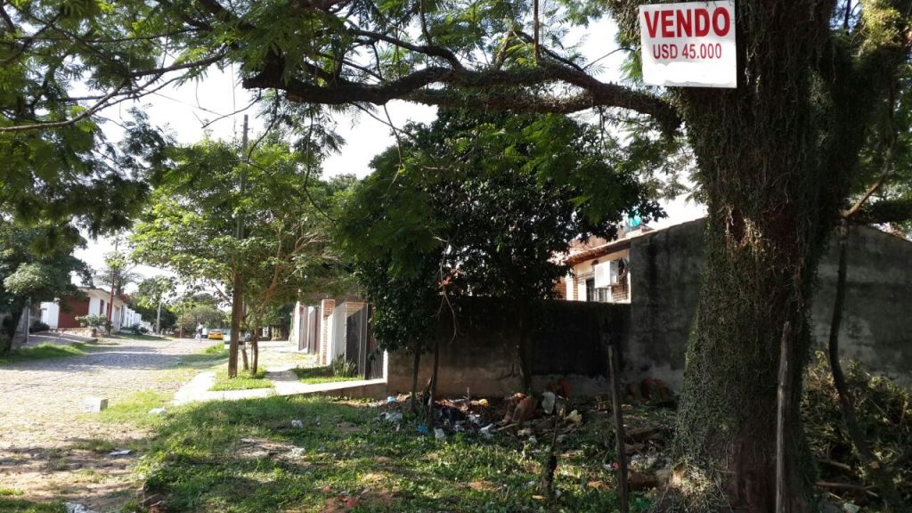 Terreno en Lambare — foto 3