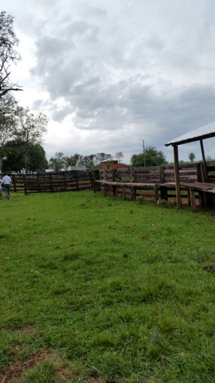 VENDO ESTANCIA EN VAQUERIA — foto 3