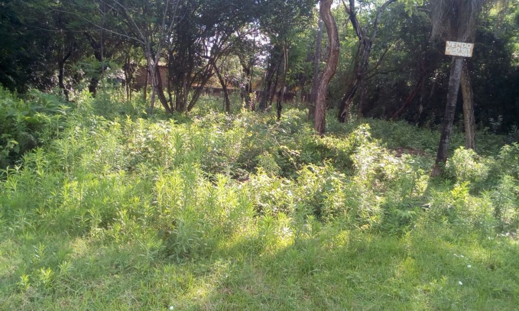 VENDO TERRENO EN SAN BERNARDINO — foto 3