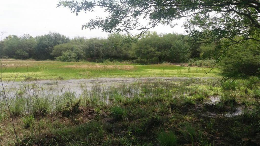 OFERTA Estancia sobre la Ruta 12 Ninfa... 1350 hectáreas... — foto 3