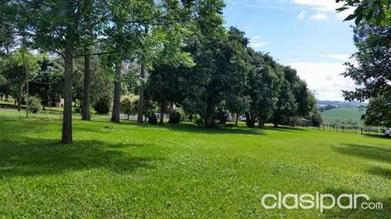 VENDO GRANJA DE 80 HECTAREAS AL CONTADO O FINANCIADO EN MINGA GUAZU — foto 2