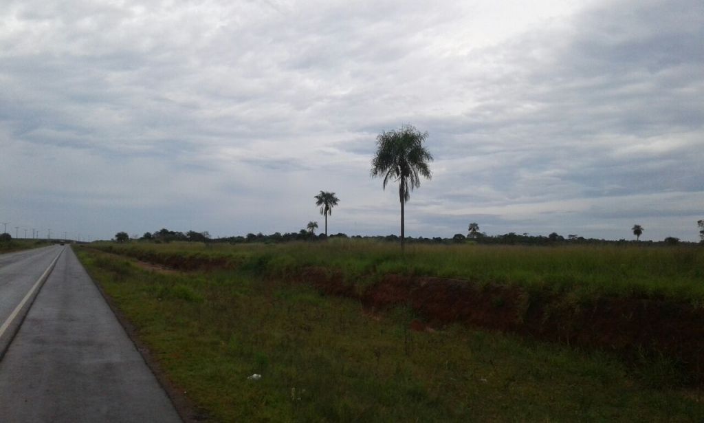 Sobre la RUTA 13 - Caaguazú - YHU — foto 3