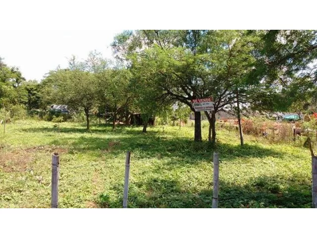 VENDO 3 HERMOSOS TERRENOS EN LA CARRETA - LUQUE! OFERTA EN ESQUINA!! — foto 2