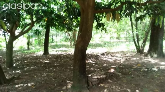 VENDO AMPLIO TERRENO DE 2.635 mt2 CERQUITA DEL HOTEL BOURBON EN LUQUE A 50M. DE ASFALTO — foto 3