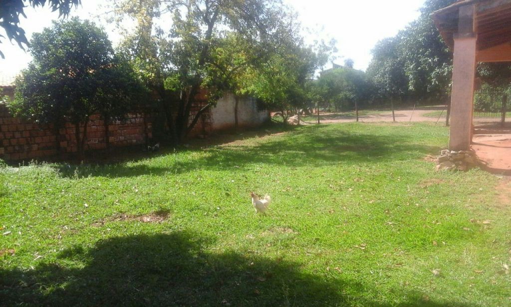 VENDO TERRENO — foto 2