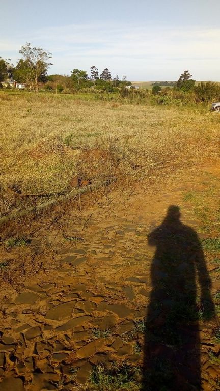 VENDO TERRENOS EN TUPARENDÁ - recibo auto como parte de pago — foto 3