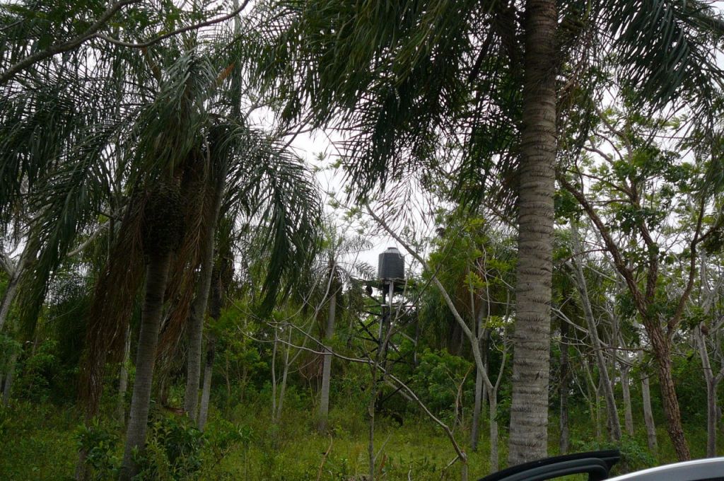 Hermosa Granja a la venta — foto 2