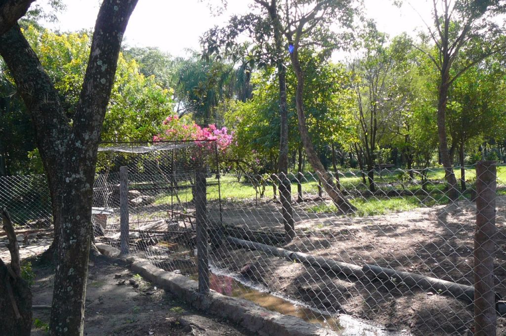 Hermosa Granja a la venta — foto 3
