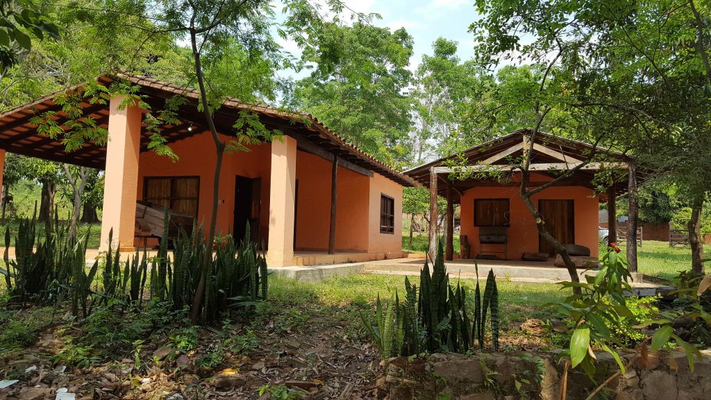 VENDO TERRENO DE 1,5 HAS CON CASA — foto 3