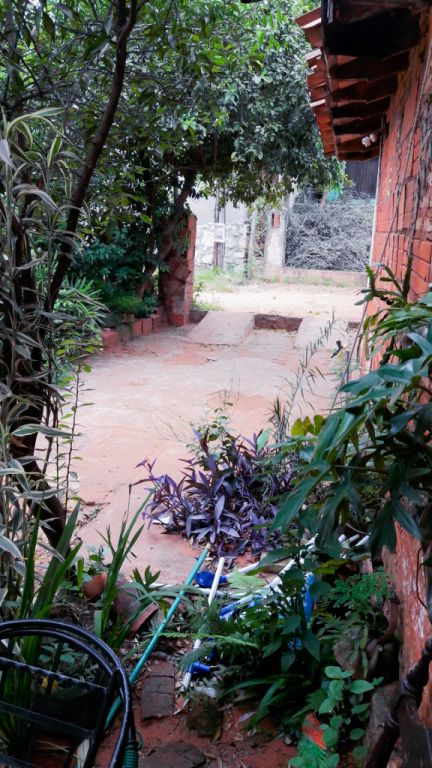 OFERTA!!!! CASA EN VILLA ELISA-VILLA BONITA — foto 3