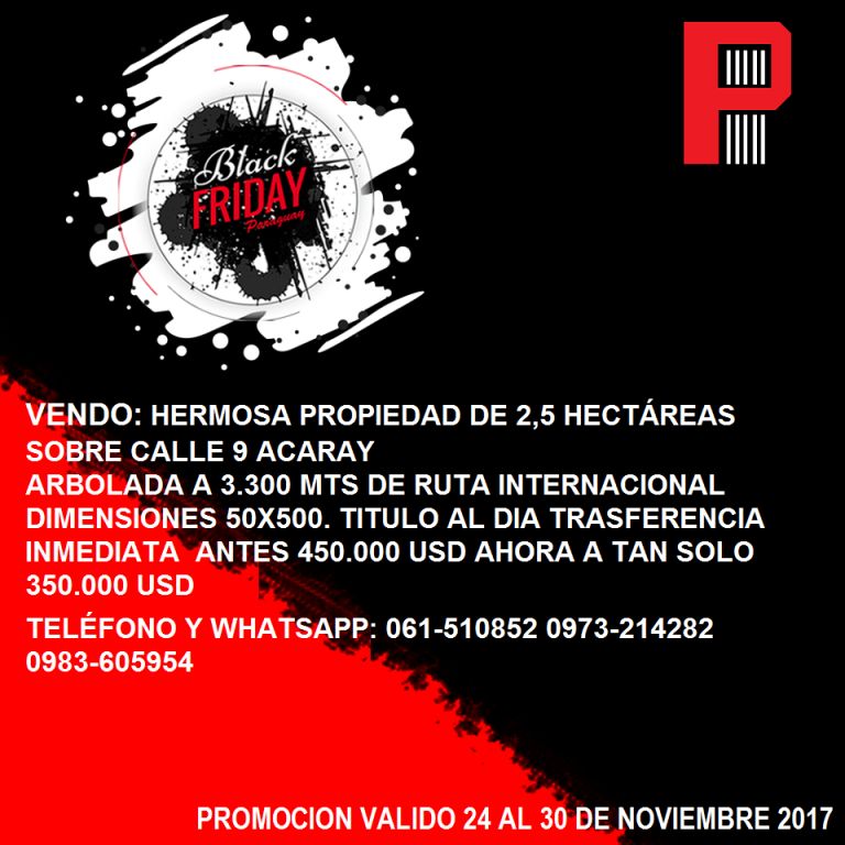 OPORTUNIDAD IMPERDIBLE EN CDE!!! PROPIEDAD DE 2,5 HECTAREAS SOBRE CALLE 9 ACARAY — foto 2
