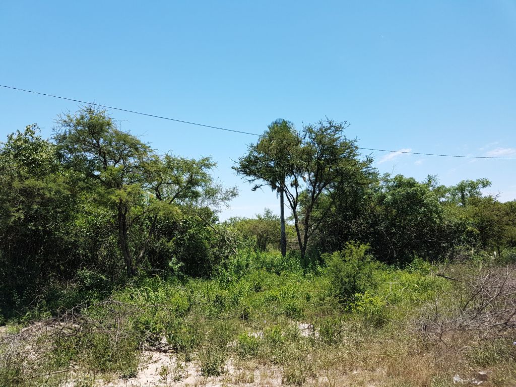 Terreno en Limpio cerquita de Surubi i — foto 2