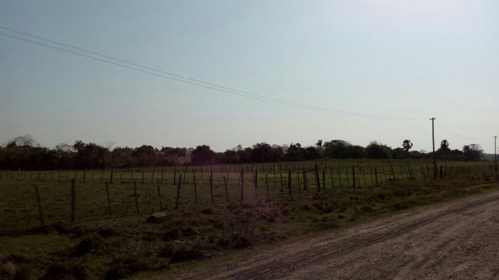 Ofertaaaa hermoso terreno en ita — foto 3