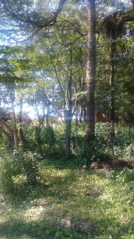 VENDO 2 TERRENOS EN FERNANDO ZONA SUR — foto 2