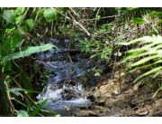 VENDO URGENTE PROPIEDAD DE 2HA 2541MT2 EN EL CENTRO DE YPACARAÍ