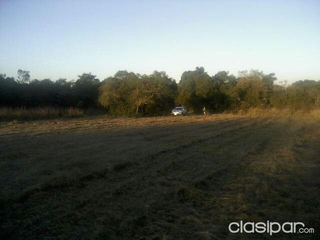 VENDO URGENTE PROPIEDAD DE 2HA 2541MT2 EN EL CENTRO DE YPACARAÍ — foto 2