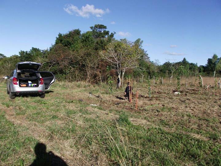 VENDO URGENTE PROPIEDAD DE 2HA 2541MT2 EN EL CENTRO DE YPACARAÍ — foto 3