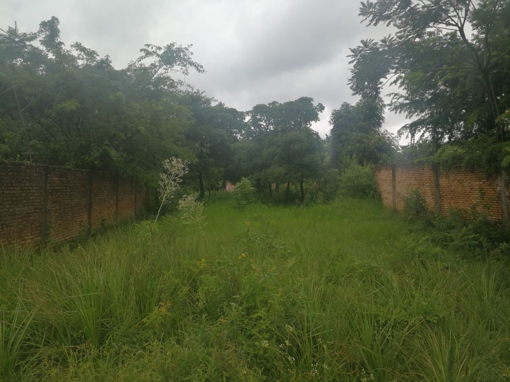 Terreno Luque Moras Cue — foto 3