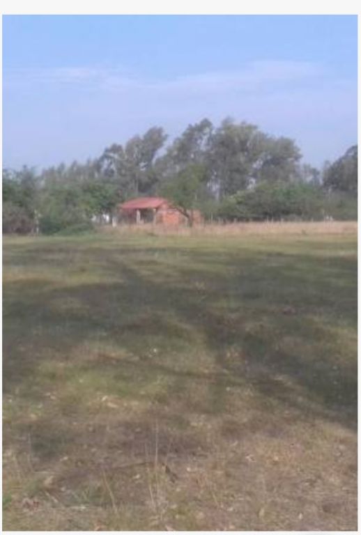 Vendo 5 terrenos zona Ypacarai — foto 2
