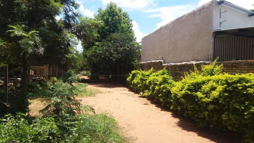 Vendo Terreno de 735 m2 sobre ruta Ypane-Ytororo — foto 2