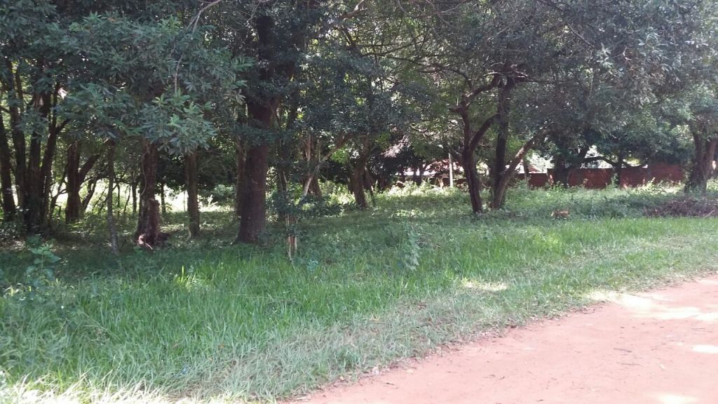 Vendo Terreno Zona Rakiura — foto 3
