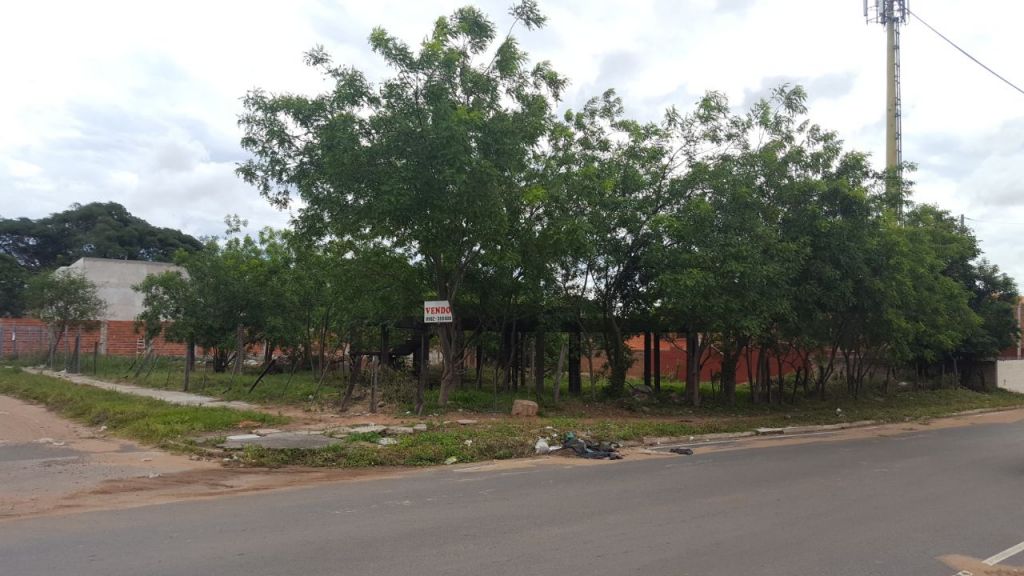 Vendo terreno en Ita Enramada — foto 3