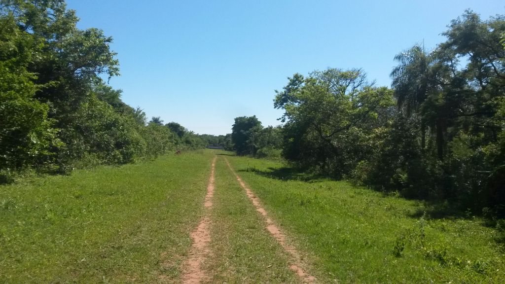 Vendo 3 Hermosos Lotes a pasos del centro de la Ciudad de Altos — foto 3