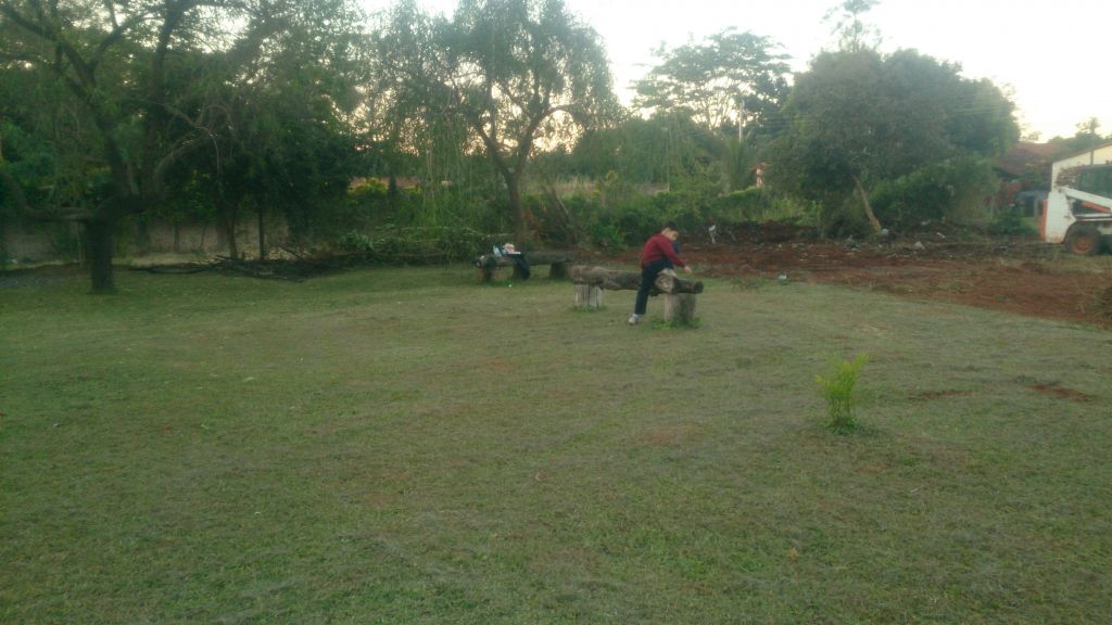 Terreno a pasós de Avelino Martínez — foto 2