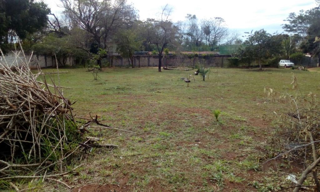 Terreno a pasós de Avelino Martínez — foto 3