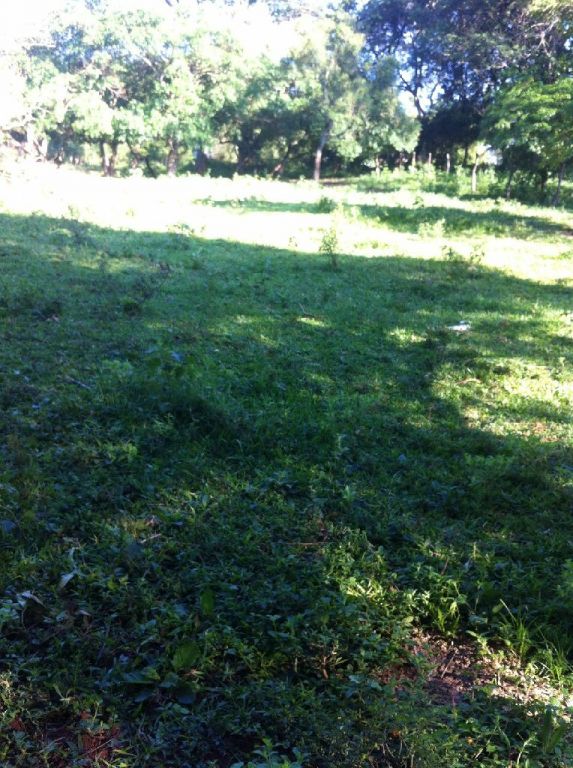 Terreno con arroyo — foto 2