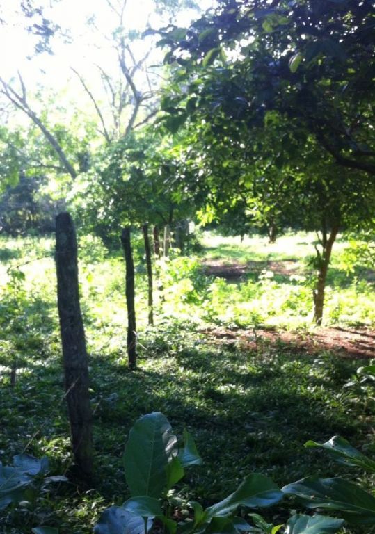 Terreno con arroyo — foto 3