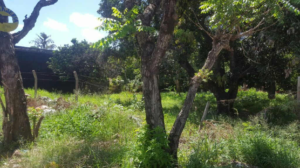Vendo en Villa Elisa 5.000 m2 sobre avenida. — foto 3