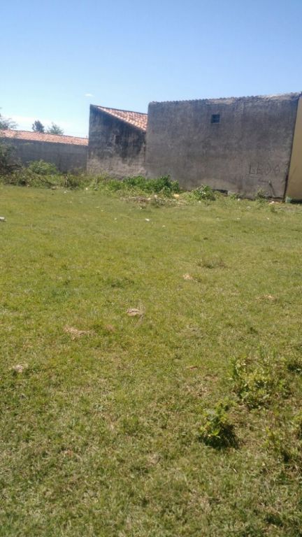 REGALO TERRENO EN LIMPIO — foto 2