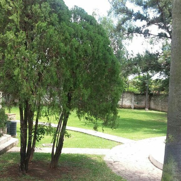OFERTO!!!... CASA QUINTA 5067,57 M2, CON PISCINA - SOBRE AV NANAWA -LUQUE — foto 3