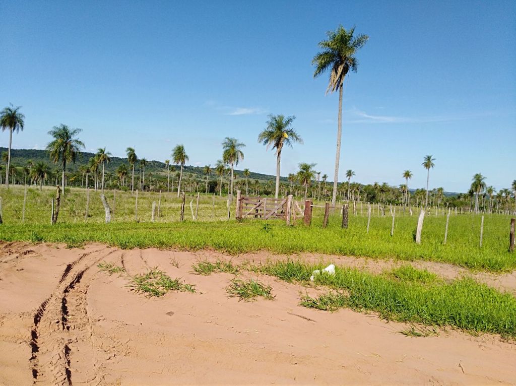 Vendo estancia — foto 3
