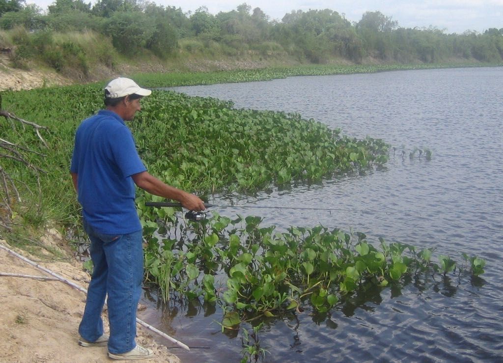 160 HA en Arroyos y Esteros — foto 3
