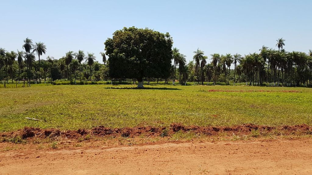 Terrenos a cuotas — foto 2