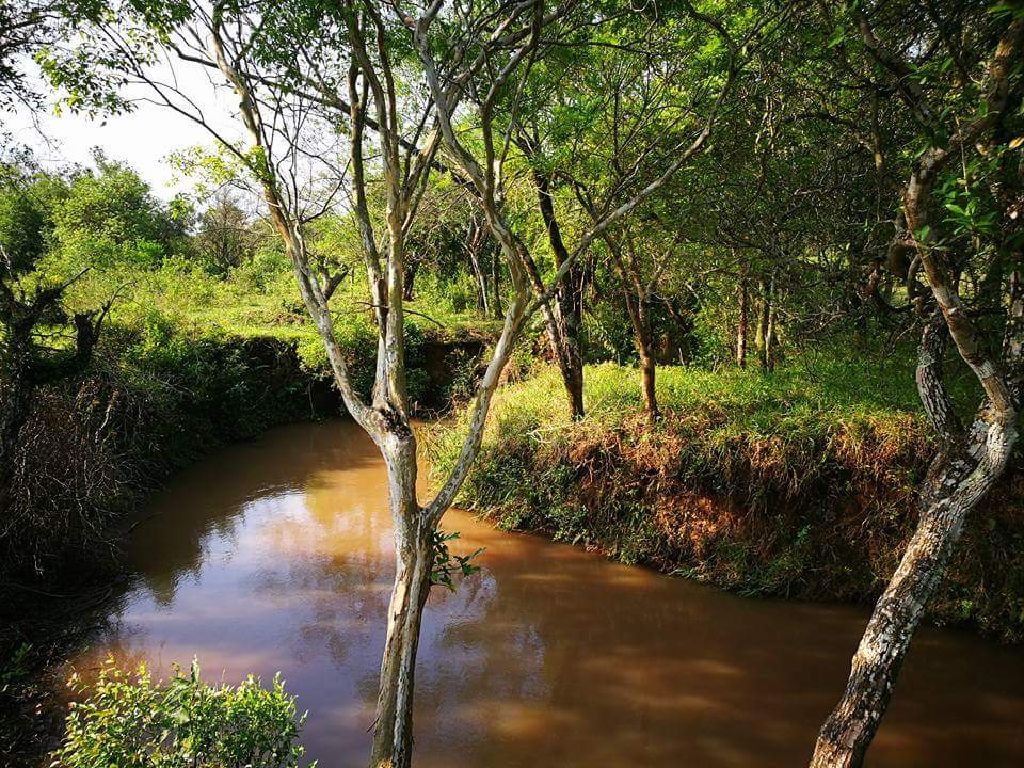 Terreno en Oleary a 4,1 kms de ruta 7 acaray — foto 3