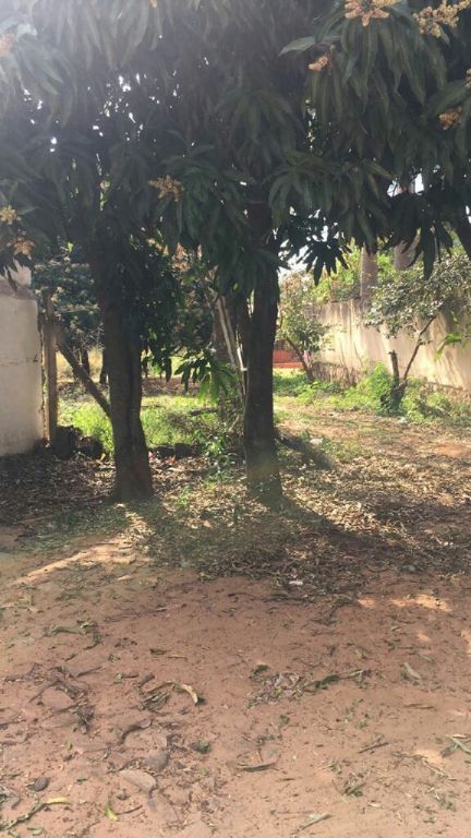 Vendo hermosos terrenos a cuotas — foto 3