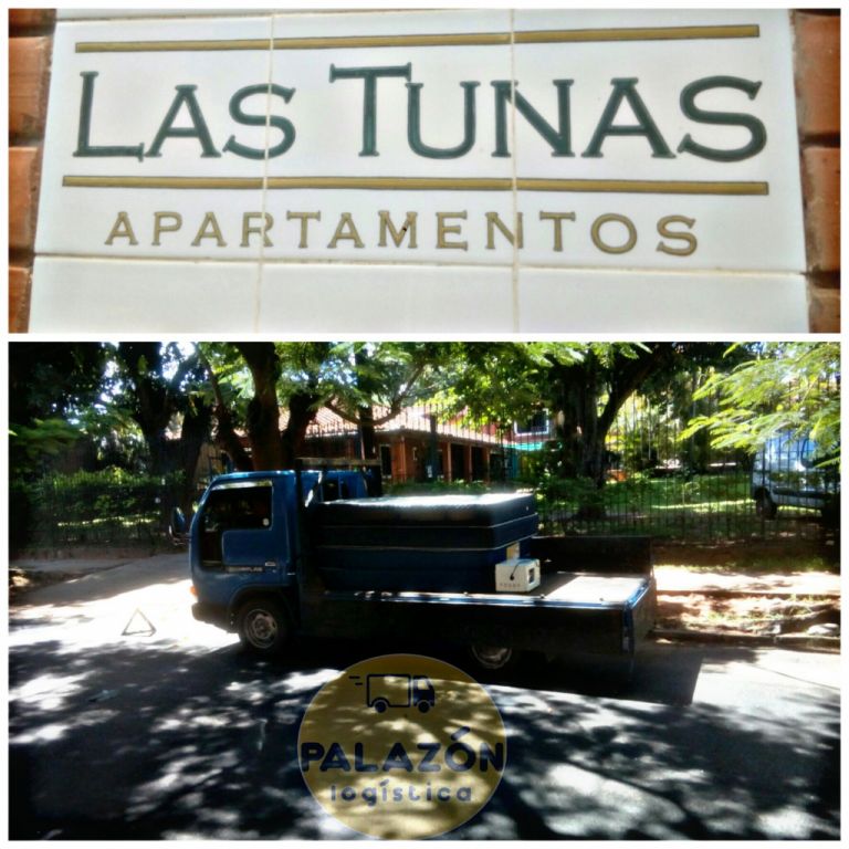 Mudanza de departamentos - Palazon Logistica — foto 3
